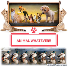 ReThinkWhatever.com &gt;&gt; AnimalWhatever.com