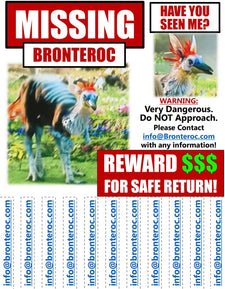 Bronteroc.com (WTF is a Bronteroc?!?)