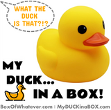 My Duck in a Box! (MyDuckInaBox.com)
