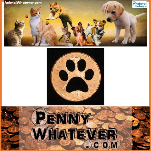 PAW Penny! ("Whatever Pennies" from PennyWhatever.com)