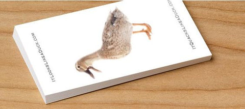 Duck, Duck, Goose! (DUCK Card)