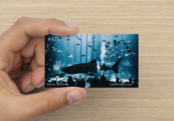 Atlanta City Collection - The Aquarium #ATL